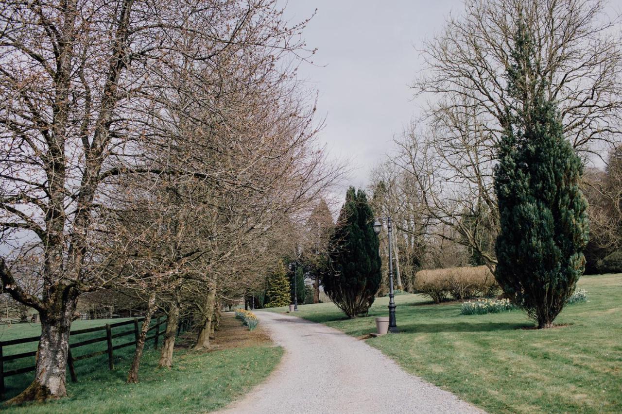 Noan Country House B&B Cashel  Esterno foto