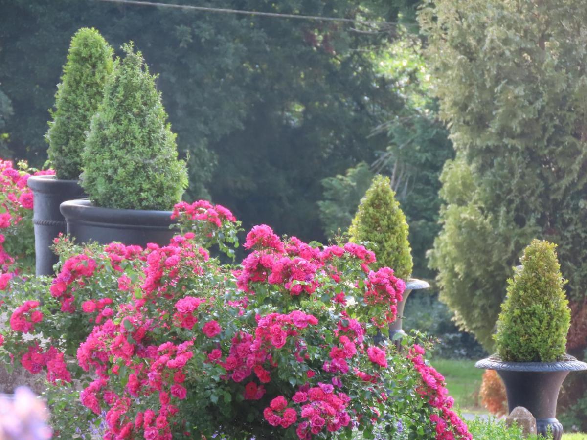 Noan Country House B&B Cashel  Esterno foto