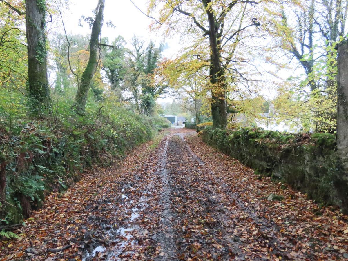 Noan Country House B&B Cashel  Esterno foto
